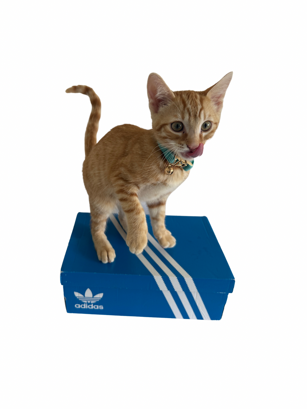 Adidas Samba XLG – Marron clair et beige